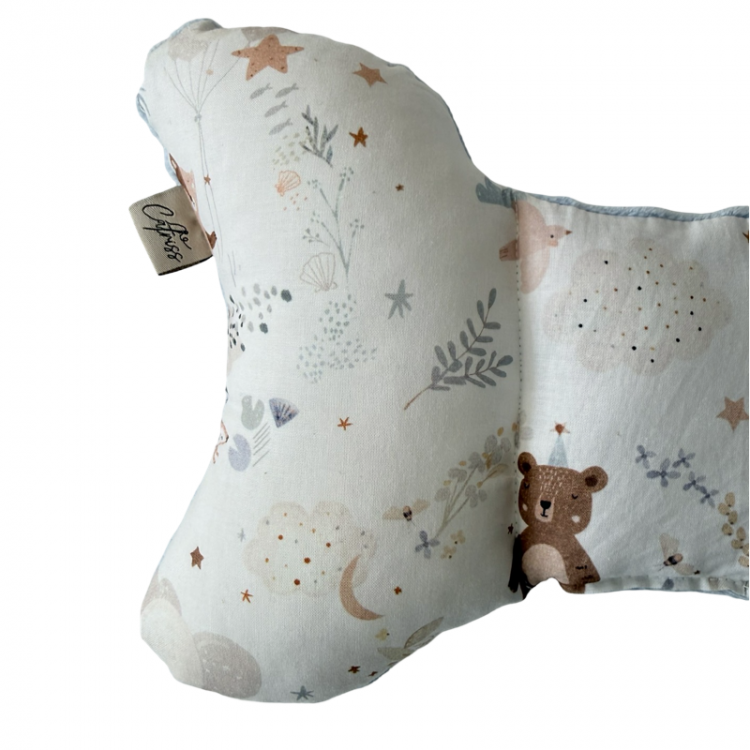 ΜΑΞΙΛΑΡΙ ΠΕΤΑΛΟΥΔΑ